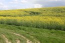Tourner à droite, suivre balisage jaune